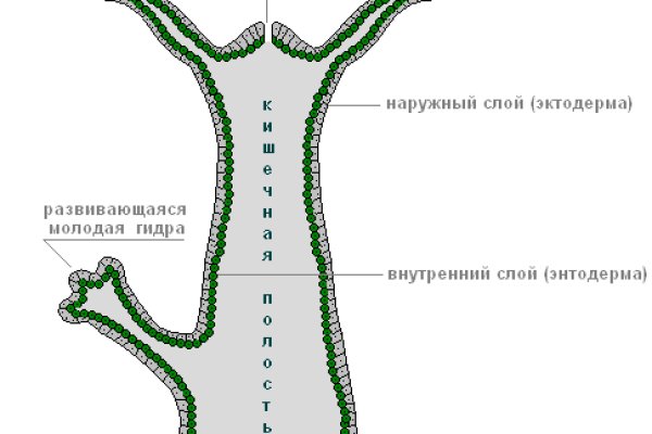 Vk8 at кракен